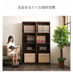 ふるさと納税 強化シェルフ 60-180 sb40227 和歌山県海南市_4