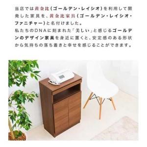 ふるさと納税 【打ち上げる品】ゴールデンFAX台 扉2枚手あい 鏡面白いこと AKU101747802 和歌山県海南市
