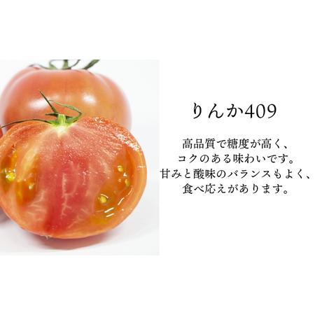 ふるさと納税 【2026年7月上旬発送開始予定】 岩手県産 こだわりトマト 詰め合せセット （ 大玉 1kg ／ ミニトマト 700g ） ／ 大玉 とまと ト.. 岩手県八幡平市_1