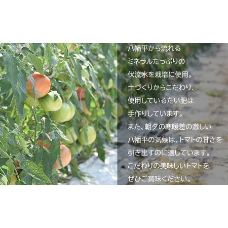 ふるさと納税 【2026年7月上旬発送開始予定】 岩手県産 こだわりトマト 詰め合せセット （ 大玉 1kg ／ ミニトマト 700g ） ／ 大玉 とまと ト.. 岩手県八幡平市_4