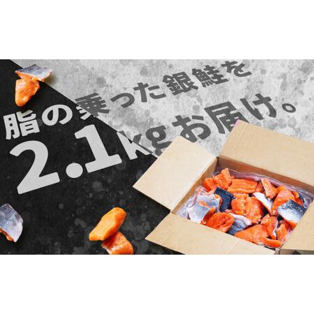 ふるさと納税 訳あり うす塩 銀鮭 切落し (骨なし) 2.1kg 鮭 冷凍【04203-0646】 宮城県塩竈市｜furunavi｜03