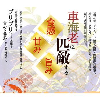 ふるさと納税 紀州和歌山産天然足赤えび540g（270g×2パック）　化粧箱入 ※着日指定不可 和歌山県美浜町_1