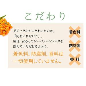 ふるさと納税 DX04_グアマラルシーベリージュース100% 1000ml 2本セット サジー サジージュース 沙棘 茨城県古河市 