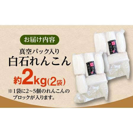 ふるさと納税 【お手軽調理!】白石町産 水煮れんこん 計約2kg ふるさと納税 【お手軽調理!】白石町産 水煮れんこん 計約2kg