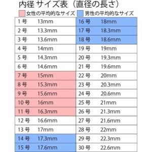ふるさと納税 結婚指輪 ペアリング ウィロメナ【S119-001】 福岡県飯塚市の画像