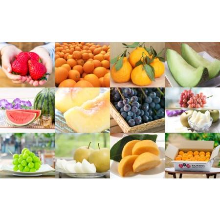 ふるさと納税 [12ヶ月定期便]熊本フルーツ定期便12カ月 フルーツ 果物 くだもの いちご 金柑 不知火 メロン すいか スイカ 桃 もも キウイ キ.. 熊本県熊本市