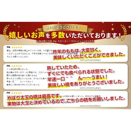 ふるさと納税 【2026年発送】山梨の朝どれ桃2kg 大玉5玉〜7玉  山梨県産 もも フルーツ 山梨県富士吉田市の画像
