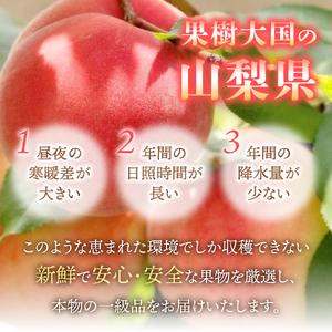 ふるさと納税 【2026年発送】山梨の朝どれ桃2kg 大玉5玉〜7玉  山梨県産 もも フルーツ 山梨県富士吉田市の画像