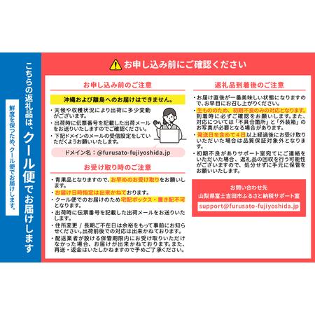 ふるさと納税 【2026年発送】山梨の朝どれ桃2kg 大玉5玉〜7玉  山梨県産 もも フルーツ 山梨県富士吉田市の画像