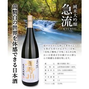ふるさと納税 SC0376　楯野川 純米大吟醸 急流　1800ml×1本 山形県酒田市 純米大吟醸