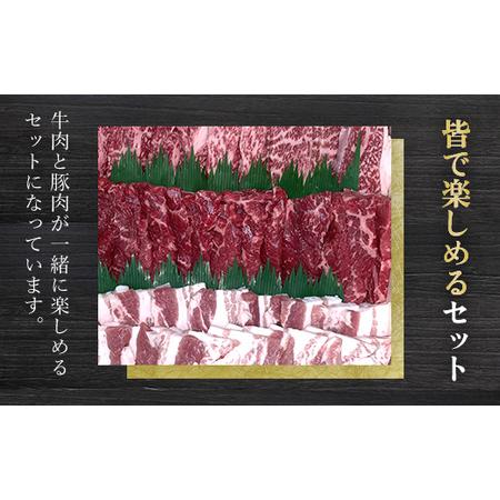ふるさと納税 上州牛肩・モモ焼肉・上州豚とことん焼肉セット ANP005 群馬県安中市