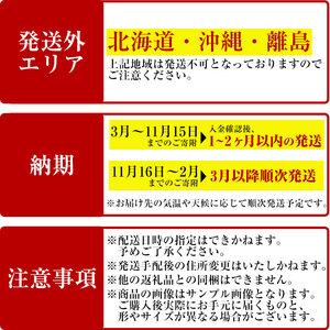 ふるさと納税 ＜観葉植物＞シェフレラ(6号) (陶器鉢・受け皿付) 観葉植物 植物 インテリア 開店祝い 移転祝い おしゃれ 室内 ギフト プレゼント .. 大阪府箕面市｜furunavi｜05