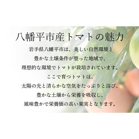 ふるさと納税 【2026年7月上旬発送開始予定】 岩手県産 こだわり カラフルミニトマト 1.3kg （6種類以上をお届け） ／ ミニ とまと トマト ミ.. 岩手県八幡平市_1