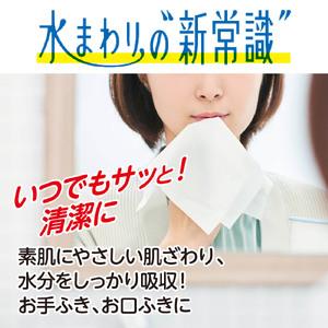 ふるさと納税　エリエール　Plus＋　お手ふきタオル　100枚　キレイ　すっきり　愛媛県四国中央市