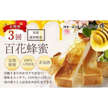 ふるさと納税 【全3回】 定期便 かの蜂 国産 百花蜂蜜 合計3kg（とんがり容器1kgを毎月1本お届け） 純粋はちみつ 024-T002 福岡県八女市_1