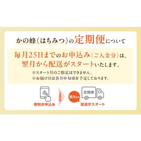 ふるさと納税 【全3回】 定期便 かの蜂 国産 百花蜂蜜 合計3kg（とんがり容器1kgを毎月1本お届け） 純粋はちみつ 024-T002 福岡県八女市_3