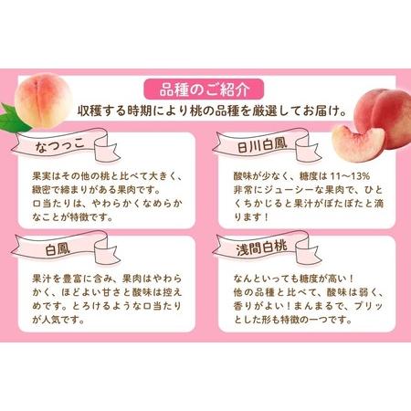 ふるさと納税 【2026年発送★先行予約】笛吹市産 厳選！桃［2kg］（5〜8玉入）フルーツ大国！山梨県笛吹市より産地直送 209-001 山梨県笛吹市の画像
