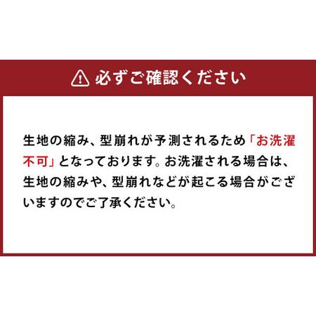 ふるさと納税 【2枚組】日本製 肌掛け布団 シングル 綿混ガーゼ調生地 (ブルー・グリーン系／ピンク・ベージュ系／ボーダー／チェック) 135x185c.. 福岡県柳川市｜furunavi｜05