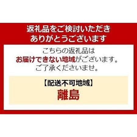 おしゃれ ふるさと納税 宮付きウッドパイプベッド　ＳWPB-S　ブラック アイリスオーヤマ 宮城県角田市