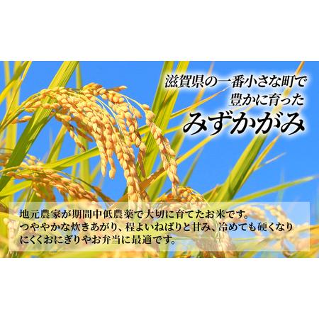 ふるさと納税 【寄附額見直しました】 特A受賞歴 みずかがみ 10kg 滋賀県 豊郷町産 近江米 お米 令和7年産 米 ミズカガミ こめ コメ 滋賀県豊郷町_2
