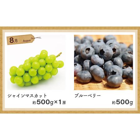 ふるさと納税 【定期便/年5回】JAむなかた厳選！人気フルーツ定期便