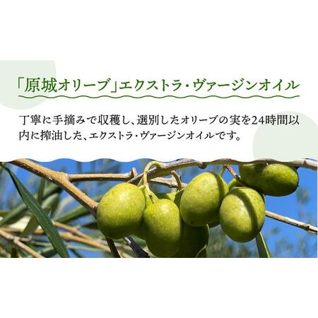ふるさと納税 【12回定期便】 原城 オリーブ エクストラ・ヴァージンオイル  100ml 1本 / オリーブオイル オイル 油 調味料 / 南島原市 / ミナ.. 長崎県南島原市_1