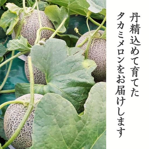 ふるさと納税 【先行予約】メロン タカミメロン 秀品 2玉 約3.5kg