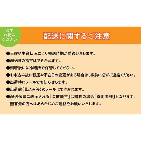 ふるさと納税 ＜2026年発送先行予約＞厳選！南アルプス市産 朝採れ大玉桃 約3kg（6〜10玉） ALPDD005 山梨県南アルプス市の画像