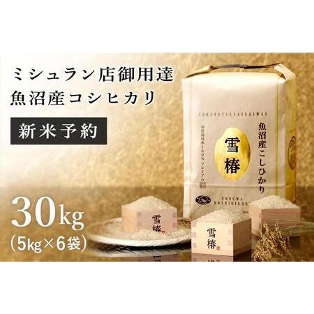 ふるさと納税 【期間限定】令和6年産新米予約 最高級魚沼産コシヒカリ「雪椿」30kg(5kg×6袋) 新潟県津南町｜furunavi｜02