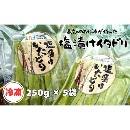 ふるさと納税 冷凍塩漬けイタドリ 250g × 5袋 セット 高知県産
