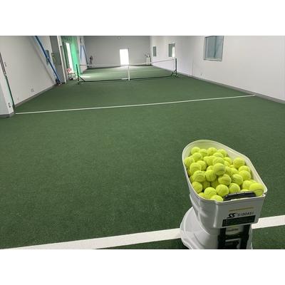 ふるさと納税 D-テニス小田原　会員限定　１ヶ月レッスン料　４回　ジュニア 神奈川県小田原市 レンタル、各種サービス サービスクーポン、引換券 その他クーポン券 V1644659646(16320円)