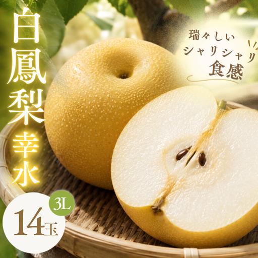 ふるさと納税 梨 白鳳梨(幸水) 3L 14玉 ※お届けは8月中旬以降の予定 梨 [hkns0003] 三重県伊賀市