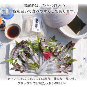 ふるさと納税 S011-016A_車海老のしゃぶしゃぶセット(車海老・ぽん酢・押し包丁麺・ゆず胡椒・昆布) 熊本県天草市_1