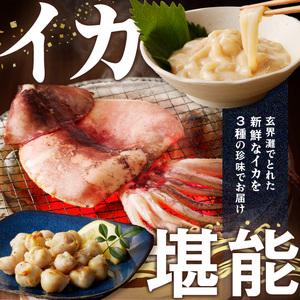 ふるさと納税 イカの珍味 3点セット｜イカ一夜干し 干物 塩辛 とんび 酒の肴 珍味 おつまみ【A153】 佐賀県玄海町の画像
