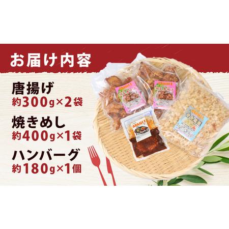 ふるさと納税 冷凍食品 セット 唐揚げ 焼きめし ハンバーグ ASAHI特製 株式会社きむら 冷凍食品 J010-126004 愛媛県宇和島市_1