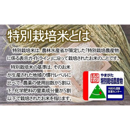 ふるさと納税 【令和6年産先行予約】特別栽培米つや姫 5kg (5kg×1袋)×6ヶ月【定期便】　鶴岡協同ファーム  山形県鶴岡市｜furunavi｜05