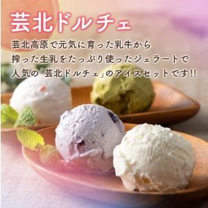 ふるさと納税 芸北ドルチェ 2,000mlバルク×2種類 アイスクリームセット GE007_004 広島県北広島町の画像
