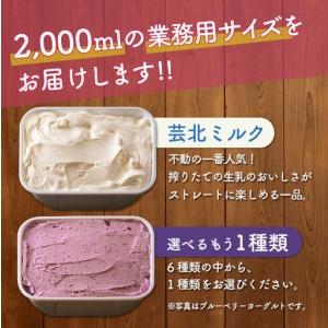 ふるさと納税 芸北ドルチェ 2,000mlバルク×2種類 アイスクリームセット GE007_004 広島県北広島町の画像
