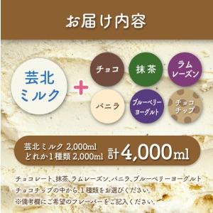 ふるさと納税 芸北ドルチェ 2,000mlバルク×2種類 アイスクリームセット GE007_004 広島県北広島町の画像