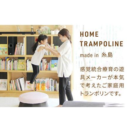 ふるさと納税 ホームトランポリン モダンタイプ 糸島市 / 未来航路 クッション インテリア [AAB010] 福岡県糸島市_1
