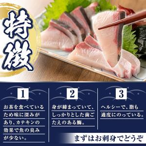 ふるさと納税 ブリカマ付！茶ぶり スキンレスロイン約1.2kg(1尾分・4分の1カット済)【ウスイ】usui-6121 鹿児島県長島町｜furunavi｜04