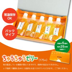 ふるさと納税 ちゅうちゅうゼリー 定期便 5個×12回 ( ゼリー 定期便 柑橘 ゼリー 定期便 みかん ゼリー 定期便 ちゅうちゅう ゼリー 定期便.. 愛媛県松山市｜furunavi｜03