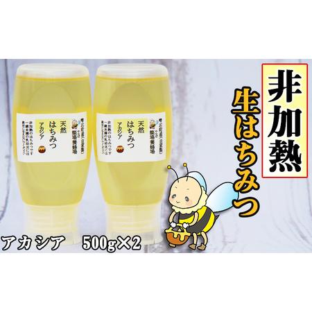 ふるさと納税 簗場養蜂場 非加熱 生はちみつ アカシア 500g 2本 【あ