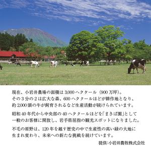 ふるさと納税 小岩井農場 厳選素材 カレー ディナーセット 6食入り ／ カレーライス レトルトカレー レトルト ギフト 贈答用 岩手県雫石町｜furunavi｜05