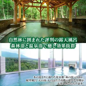 ふるさと納税 南網張ありね温泉 ゆこたんの森 日帰り御膳プラン 1名様 ／ 日帰り旅行 温泉 岩手県雫石町_1