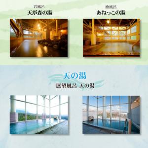 ふるさと納税 南網張ありね温泉 ゆこたんの森 日帰り御膳プラン 1名様 ／ 日帰り旅行 温泉 岩手県雫石町_4