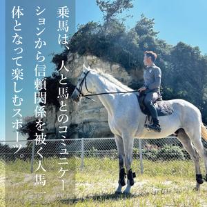 ふるさと納税 ホースセラピー・癒しコース（120分）【乗馬 馬 ポニー サラブレッド ブラッシング リラクゼーション 水戸市 茨城県】（EY-1） 茨城県水戸市の画像