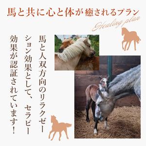 ふるさと納税 ホースセラピー・癒しコース（120分）【乗馬 馬 ポニー サラブレッド ブラッシング リラクゼーション 水戸市 茨城県】（EY-1） 茨城県水戸市の画像