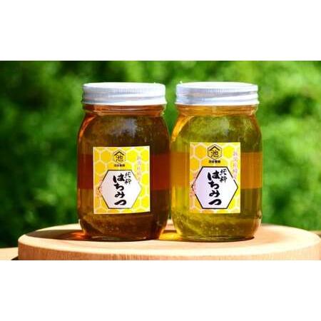 ふるさと納税 【令和7年産・数量限定】国産 非加熱 純粋はちみつ 600g×2種類（アカシア蜜・黒花槐蜜）食べ比べセット 柏崎産[Y0451] 新潟県柏崎市の画像