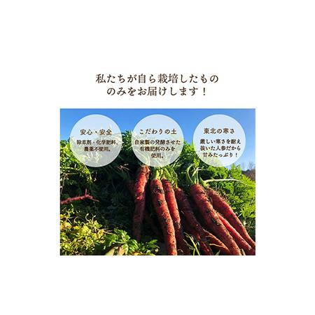 ふるさと納税 《先行予約》都内マルシェで人気のお野菜！〈有機JAS認証〉カラフルにんじん 3kg F21R-197 福島県白河市｜furunavi｜05